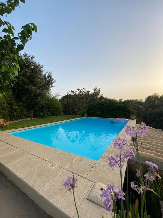 Ses Alzines Apartamento Integrado En Casa Rural Habitada Llucmajor  Exteriér fotografie